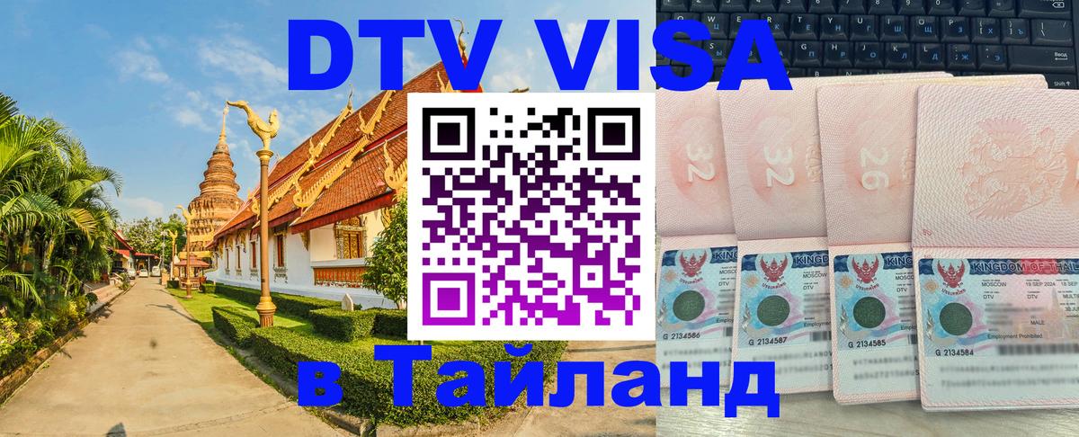 Оформление DTV визы под ключ: стоимость и тарифы, только загранпаспорт - 